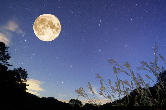 Moon Rabbit and Mochi Pounding