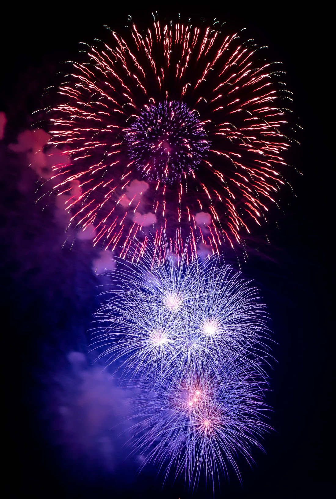 Flowers on a Summer Night