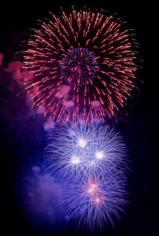 Flowers on a Summer Night
